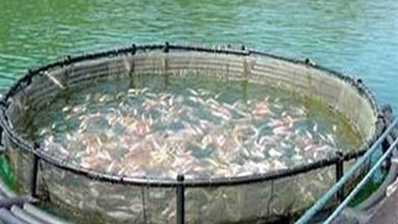 الزراعة تعلن افتتاح