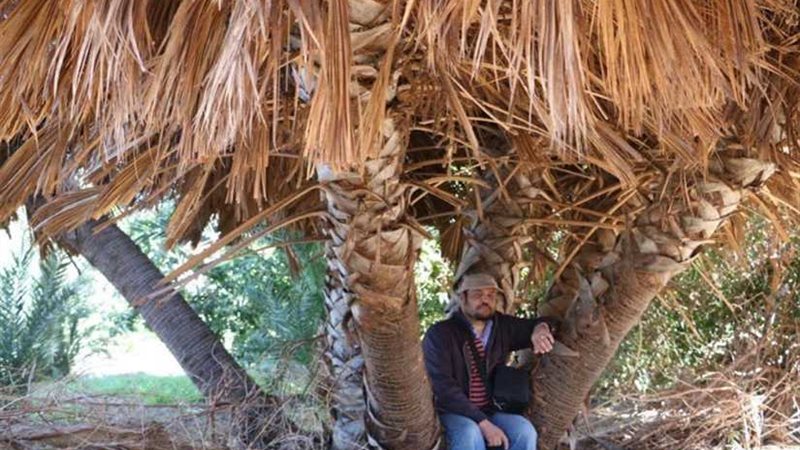 مصريون يشرحون كيف