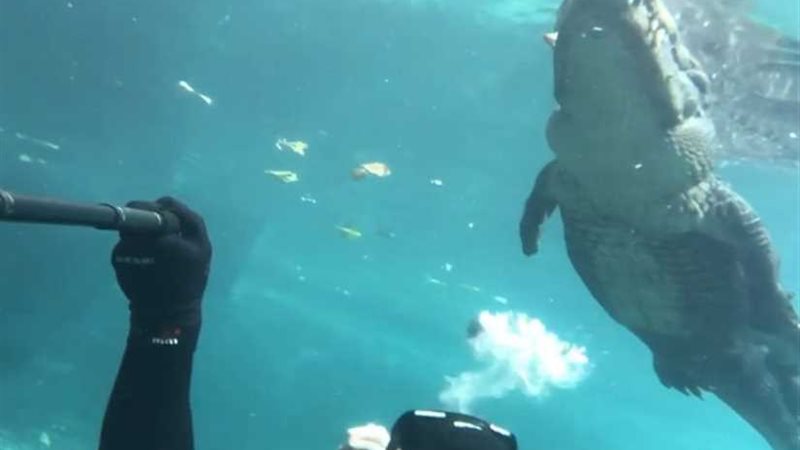 متهور يغامر بحياته