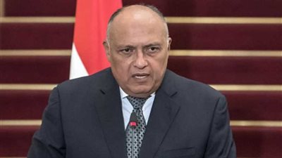 شكري ونظيره اليوناني يبحثان تطورات الأوضاع بالمنطقة والتدخل التركي السلبي في الشأن الليبي