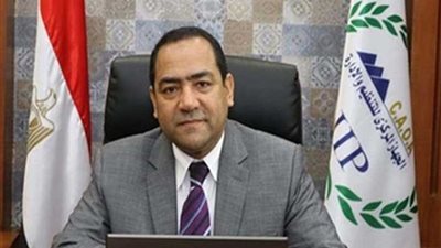 “التنظيم والإدارة 