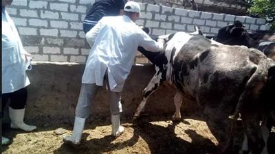 إحالة 8 موظفين بالوحدة المحلية لقرية فيشا بالمحمودية للتحقيق