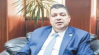 الوكيل: نتعاون عربيا لدعم البرنامج النووي المصري