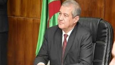 وزير الاتصال الجزائري: مصلحة البلاد تكمن في إتمام الانتخابات الرئاسية المقبلة