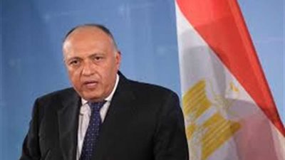 شكرى يعقد غدا مباحثات مع نائب رئيس المجلس الرئاسي الليبي