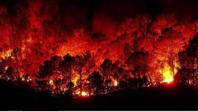 عاجل ..ارتفاع حصيلة ضحايا حريق المنطقة الصناعية فى العاصمة السودانية إلى 15قتيلاً