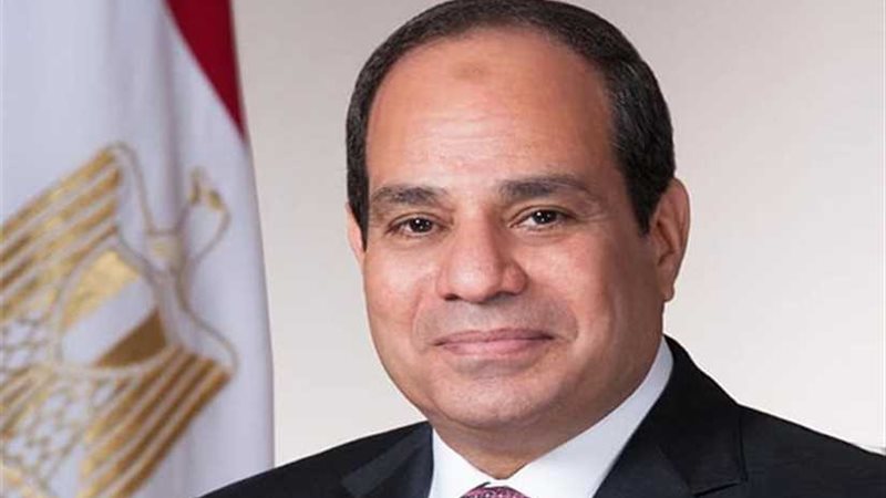 الرئيس السيسي يشيد