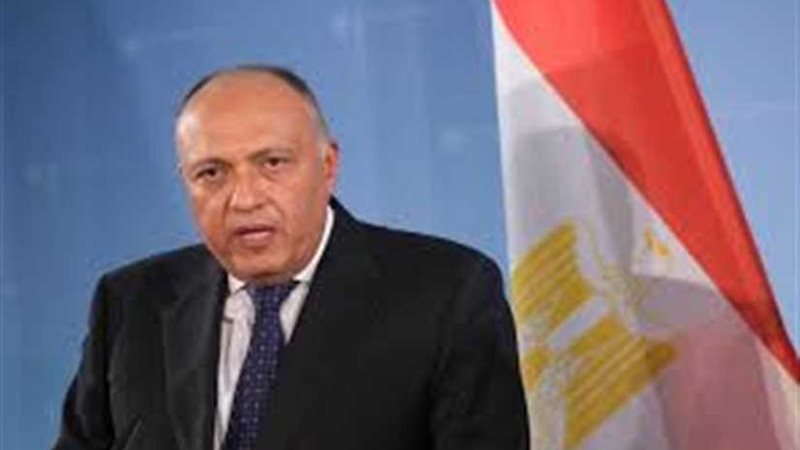 شكرى يعقد غدا مباحثات