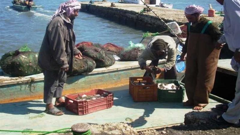 26 ديسمبر الجاري..