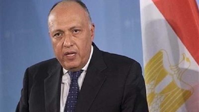 شكري ونظيره الفرنسي يتفقان على عدم مشروعية توقيع السراج مذكرتي تفاهم مع تركيا
