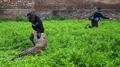 أفضل صورة التقطتها 