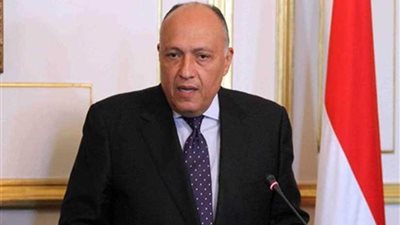 وزير الخارجية يبحث مع نظيره الإيطالي العلاقات الثنائية والقضايا الإقليمية