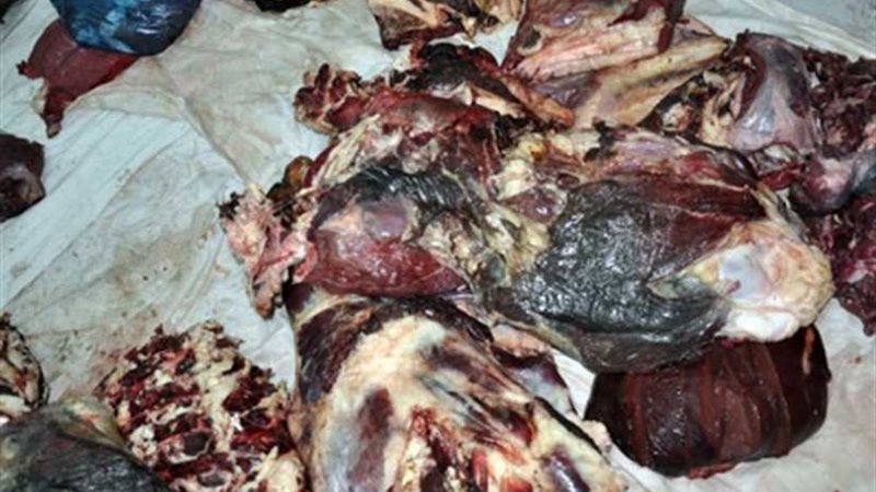 ضبط طن لحوم فاسدة