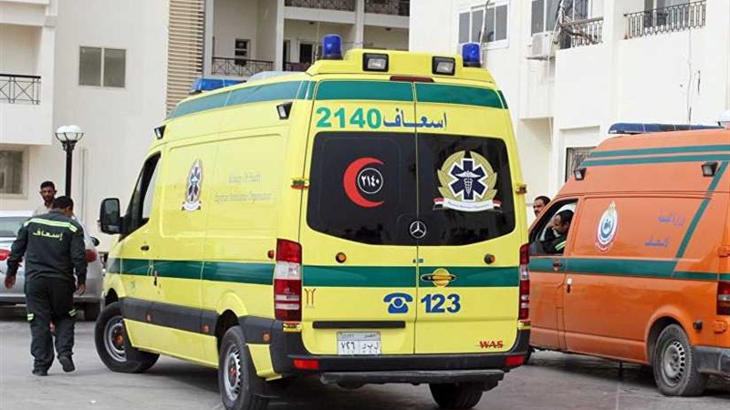 بسبب قطة ميتة.. إصابة