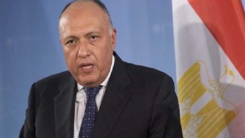 شكري ونظيره الفرنسي