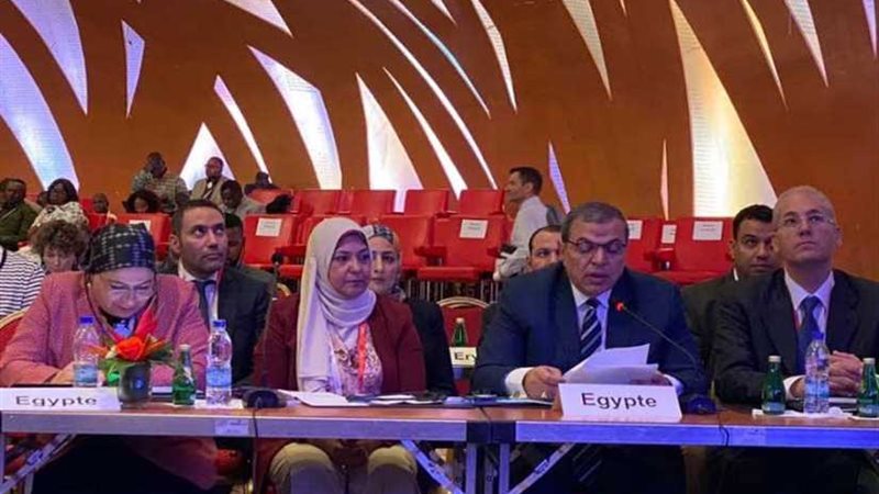 سعفان: مصر تمر بنهضة