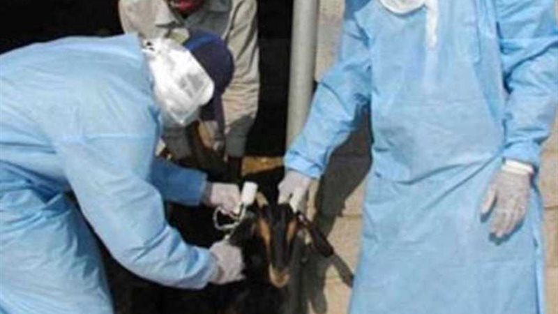 تحصين 52 ألفا و142