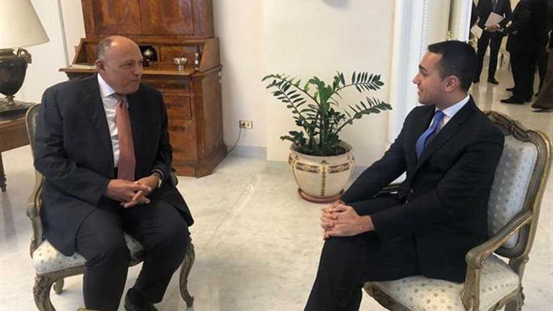 وزير الخارجية يبحث