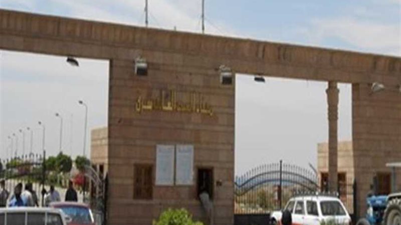 جمارك السد العالي