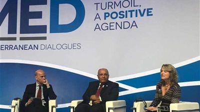 شكري: الإرهاب يعد أحد التهديدات الرئيسية للسلام والاستقرار وجهود التنمية