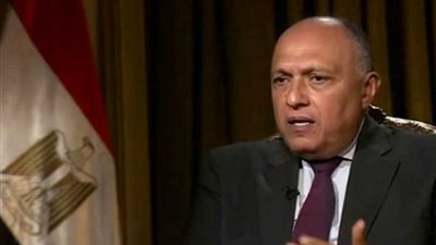 سامح شكري: السياسة المصرية تجاه أفريقيا تغيرت منذ تولي الرئيس السيسي الحكم