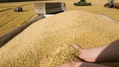روسيا:120 مليون طن حجم انتاج الحبوب هذا العام