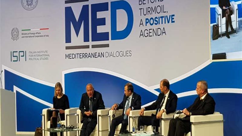 أبو الغيط: المنطقة