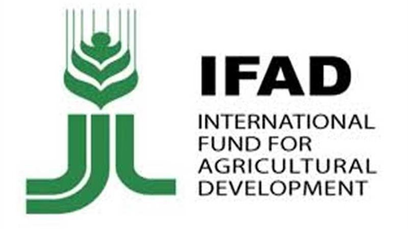 الصندوق الدولي للتنمية