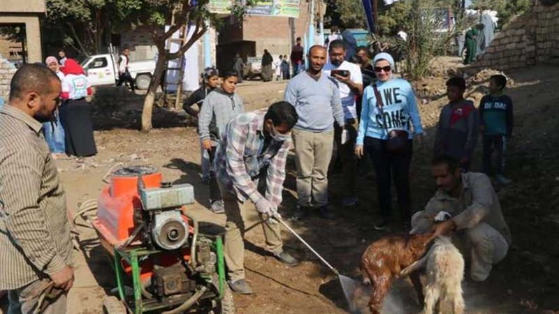 جامعة أسيوط تطلق