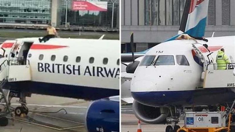 يخترق مطارا ويصعد