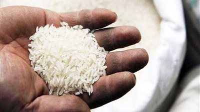 رئيس شعبة الأرز: 95 ألف طن أرز يتم توريده خلال 4 أشهر اعتبارا من مارس المقبل