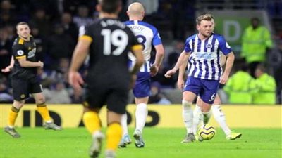 تعادل وولفرهامبتون وبرايتون في الدوري الإنجليزي