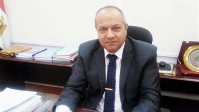 الدفع بـ30 مولدا كهربائيا لزيادة القدرات الكهربائية بمنتدى أسوان الدولي