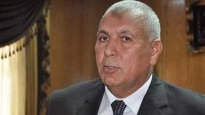 محافظ الوادي الجديد: بحثت مع وزيرة التخطيط دعم إنشاء أول مجمع مميكن للمصالح الحكومية