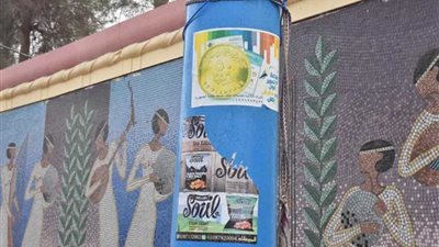 محافظ أسيوط يطلق حملة 