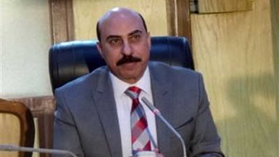 محافظ أسوان: القيادة السياسية حريصة على وضع المحافظة على الخريطة السياحية