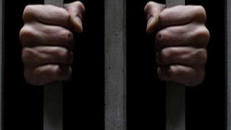 المؤبد لشقيقين متهمين