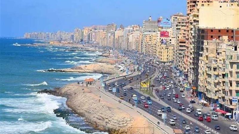 شفت اسكندرية.. معرض