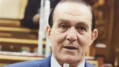 «برلماني»: منتدى شباب العالم يعكس مدى اهتمام الدولة بالتواصل مع شباب القارة السمراء