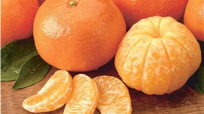 اليوسفي.. أقوى فاكهة لزيادة المناعة ومفتاح الصحة والجمال في الشتاء