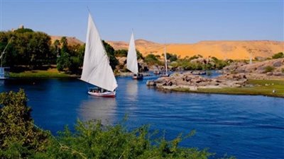 انطلاق احتفالات 