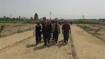 بنظام الزراعة الآلي.. جامعة المنيا تستهدف استصلاح 60 فدانًا جديدًا بـ