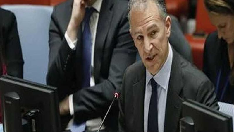 السفير الأمريكى بالقاهرة