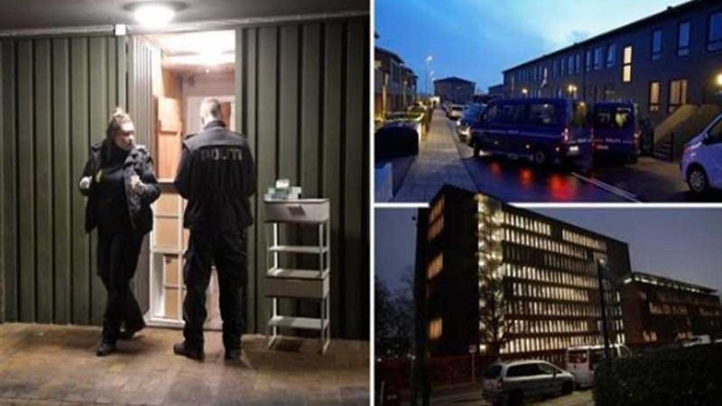 الشرطة الدنماركية