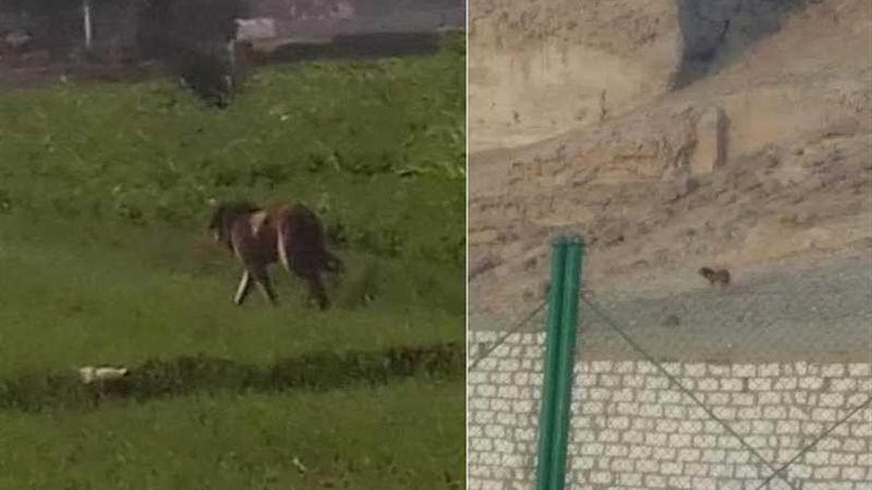 الرعب يسيطر على أهالي