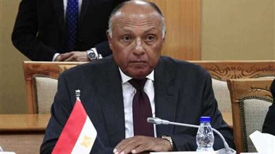 وزير الخارجية سامح شكري يلتقي نظيره الصومالي