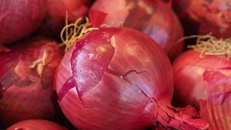 تراجع صادرات محصول