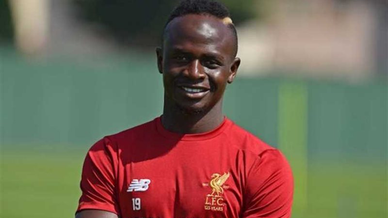 الدبابة السنغالية