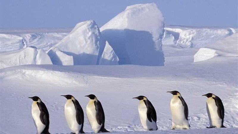 اكتشاف أعمق نقطة