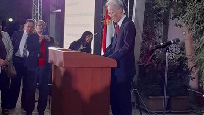 سفير اليابان: مصر تطور سياسات حكيمة تحت قيادة السيسي